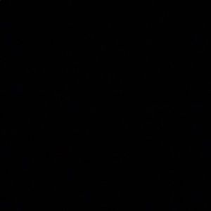 Meet your Posher, Max